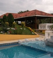 >Calima villas special offers