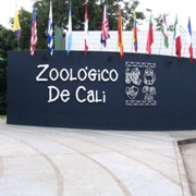 Zoologico de Cali, Colombia.