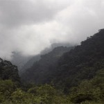 Bosque de la Niebla de cali, Colombia