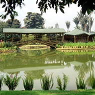 Jardin Botanico de Cali - Turismo Valle del Cauca