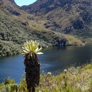 Parque Nacional Natural Las Hermosas Valle del cauca