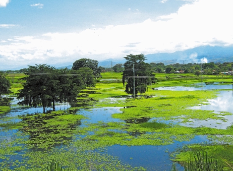 La Geografia de Valle del Cauca es diversa y rica en Recursos Naturales.