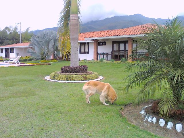 Luxury villa vacations