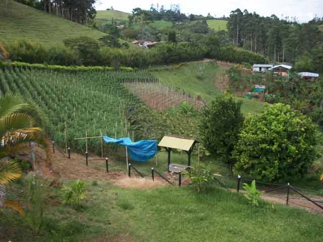 Vacation Rentals