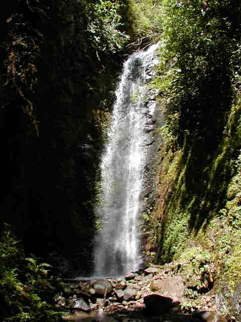 Historia del Lago Calima y Dari�n