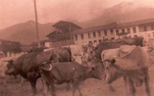 Historia del Lago Calima y Dari�n