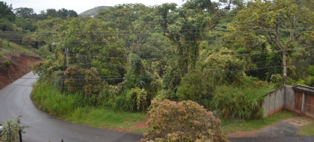Clima de La Buitrera Cali, Colombia
