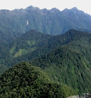 Parque Nacional Natural Los Farallones en Cali, Colombia