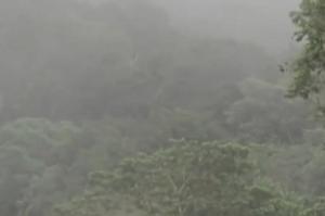 Sendero Bosque de La Niebla el Saladito Cali, Colombia.