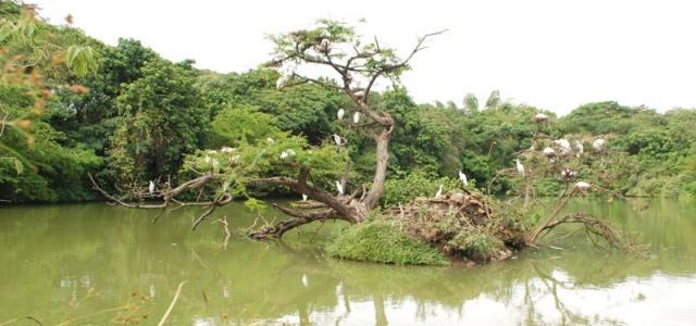Eco Parque Lago de las Garzas en Cali, Colombia - Sitios Turísticos de Cali, Colombia