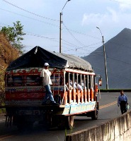 Felidia, Valle del Cauca, Santiago de Cali, Colombia