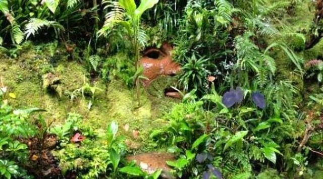 Bichacue Yath Arte y Naturaleza en Cali, Colombia.