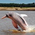 Amazonas: refugio de naturaleza y cultura