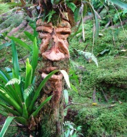 Bichacue Yath Parque tematico en Cali, Colombia.