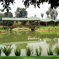 Jardin Botanico de Cali - Turismo Valle del Cauca