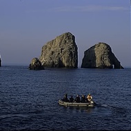 Santuario de Flora y Fauna Malpelo - Turismo Naturaleza