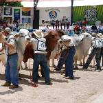 Ferias agroindustriales en el Valle del Cauca