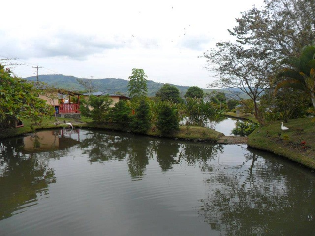 Hoteles Lago Calima, Darien