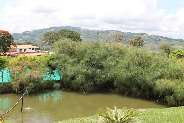 Lago Calima