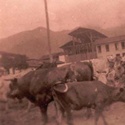 Fotos de el Municipio Calima el Dari�n