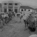 Fotos de el Municipio Calima el Dari�n