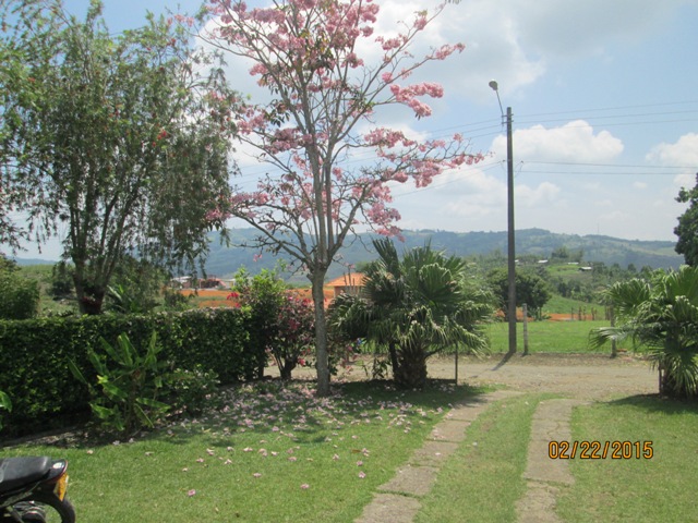 Casas campestres Lago Calima, Darien