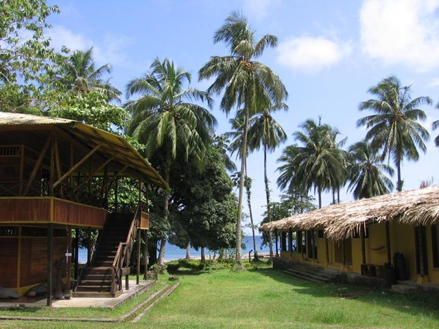 Isla Gorgona: ecoturismo y para�so natural en el Pac�fico