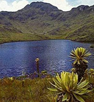 Parque Nacionale Natural Las Hermosas