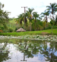 Jardin Botanico Juan Maria Cespedes Tulua