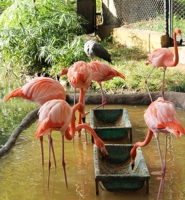 Zool&oacute;gico de Cali Valle del Cauca