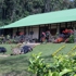 Yotoco Valle del Cauca
